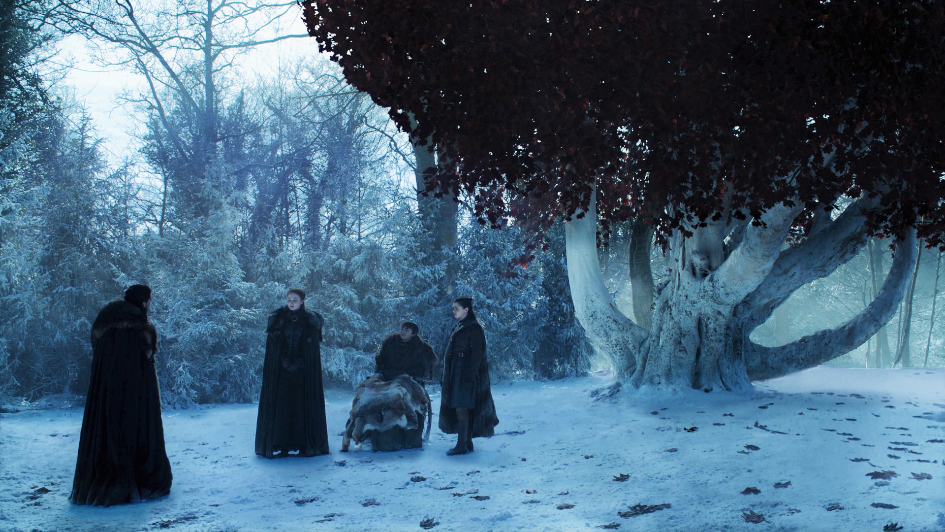 Jon Snow Sansa Stark Bran Arya Godswood Weirwood Season 8 804