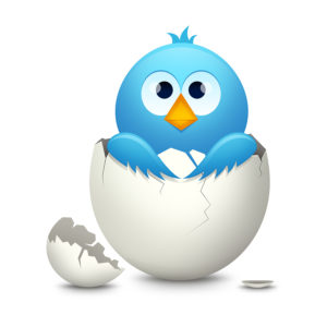 bigstock-Blue-bird-in-egg-6079257