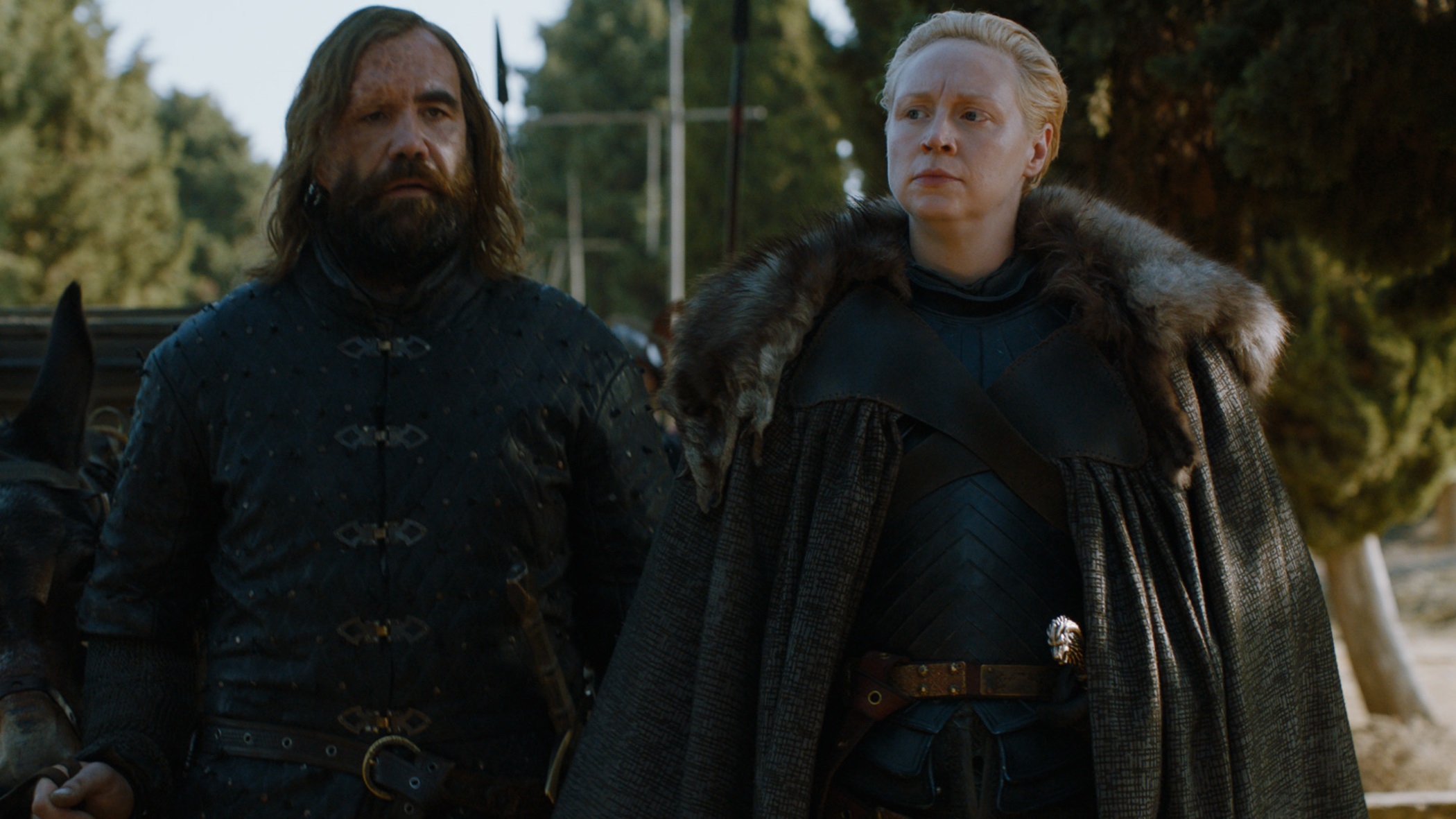 Brienne and the Hound Dragonpit